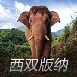 pg电子娱乐官网下载模拟器